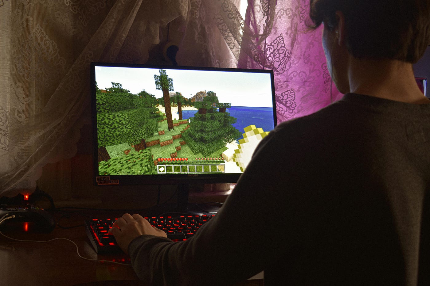 电子游戏与电子游戏社区 / Video Games & Gaming Communities
